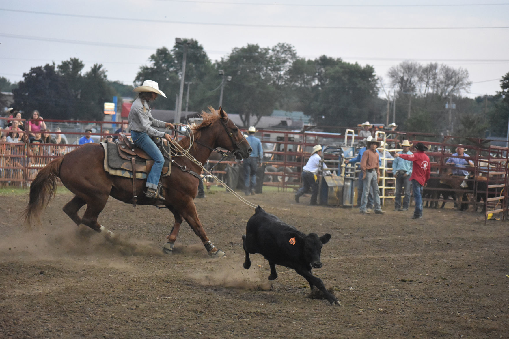 Klarissa Neff lassoes calf